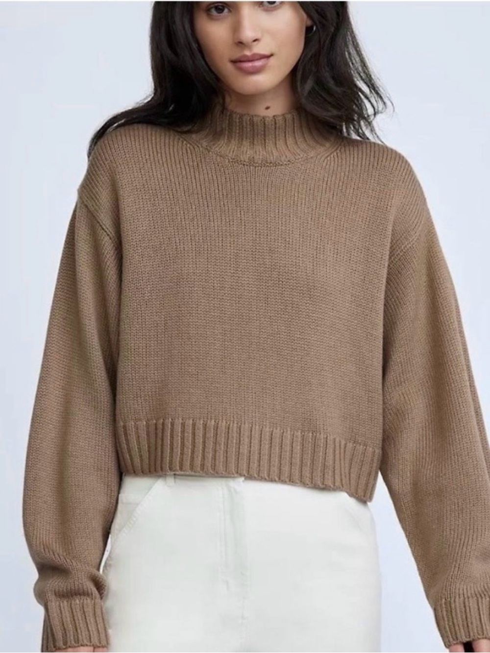 Wilfred Free Harper Sweater Size XS Aritzia #65627